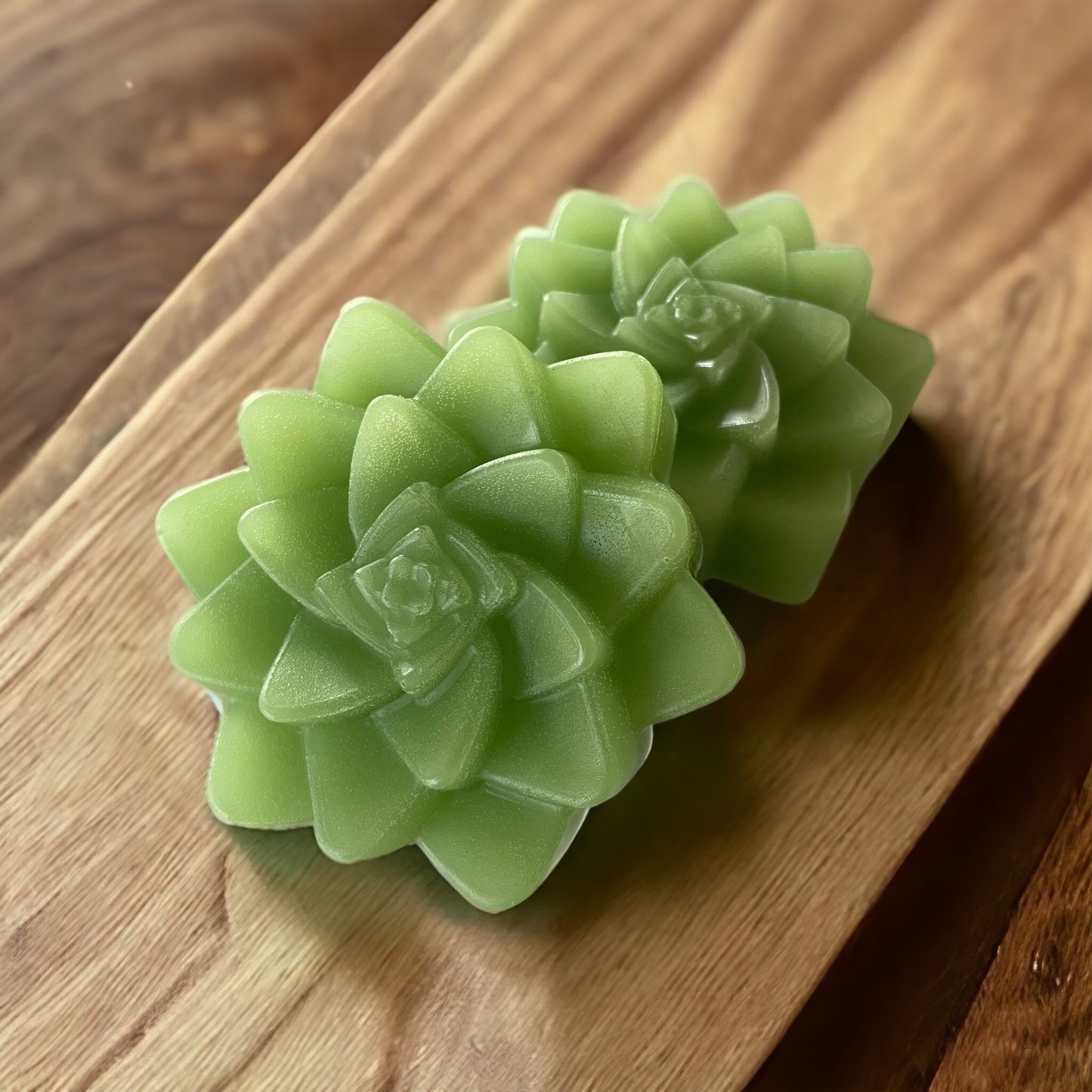 Aloe Vera and Agave Succulent Soap